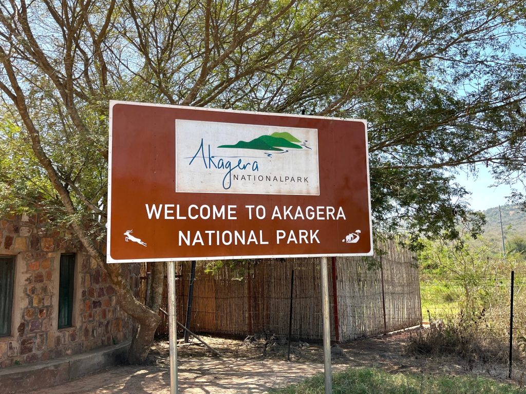 Akagera Safari