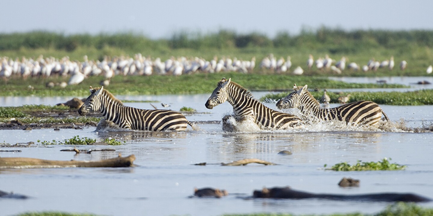 Lake Manyara