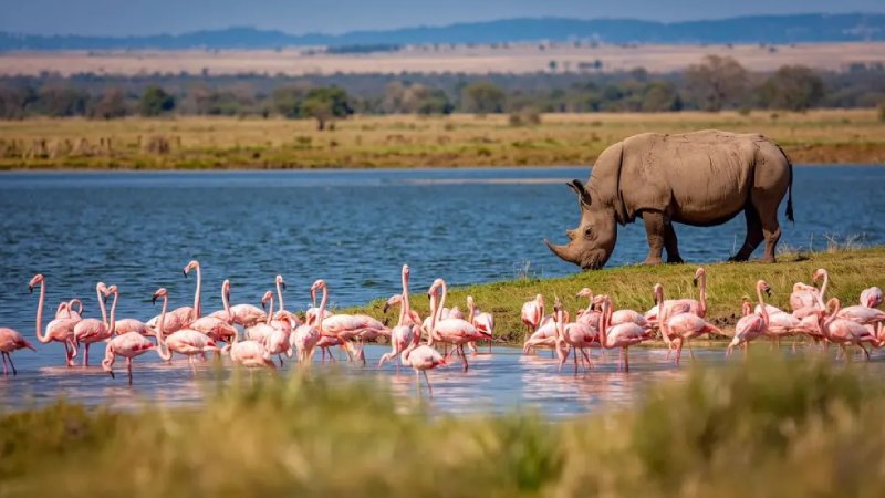 Lake Nakuru