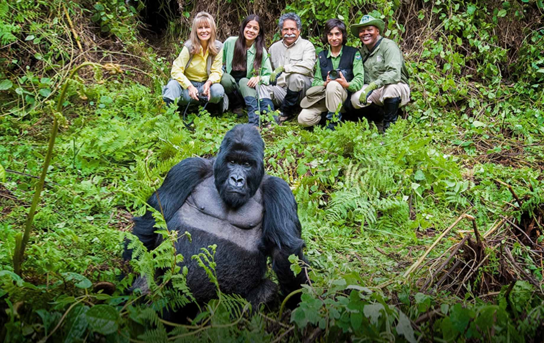 Luxury Rwanda Safari