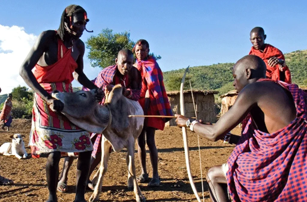 Maasai Culture