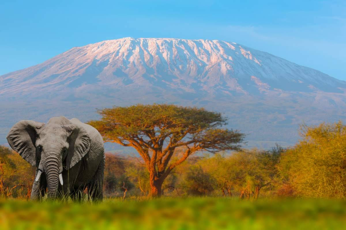 Mount Kenya Trek