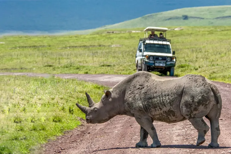 Ngorongoro Crater