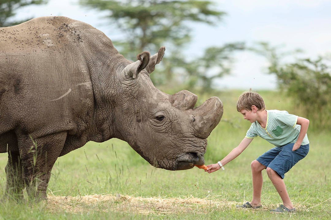Ol Pejeta Conservancy