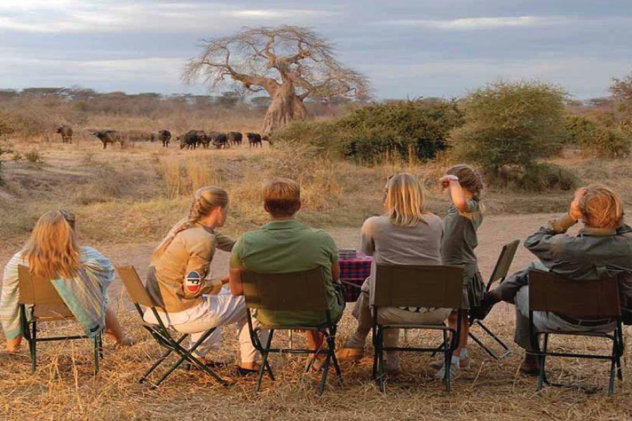Ruaha Safari