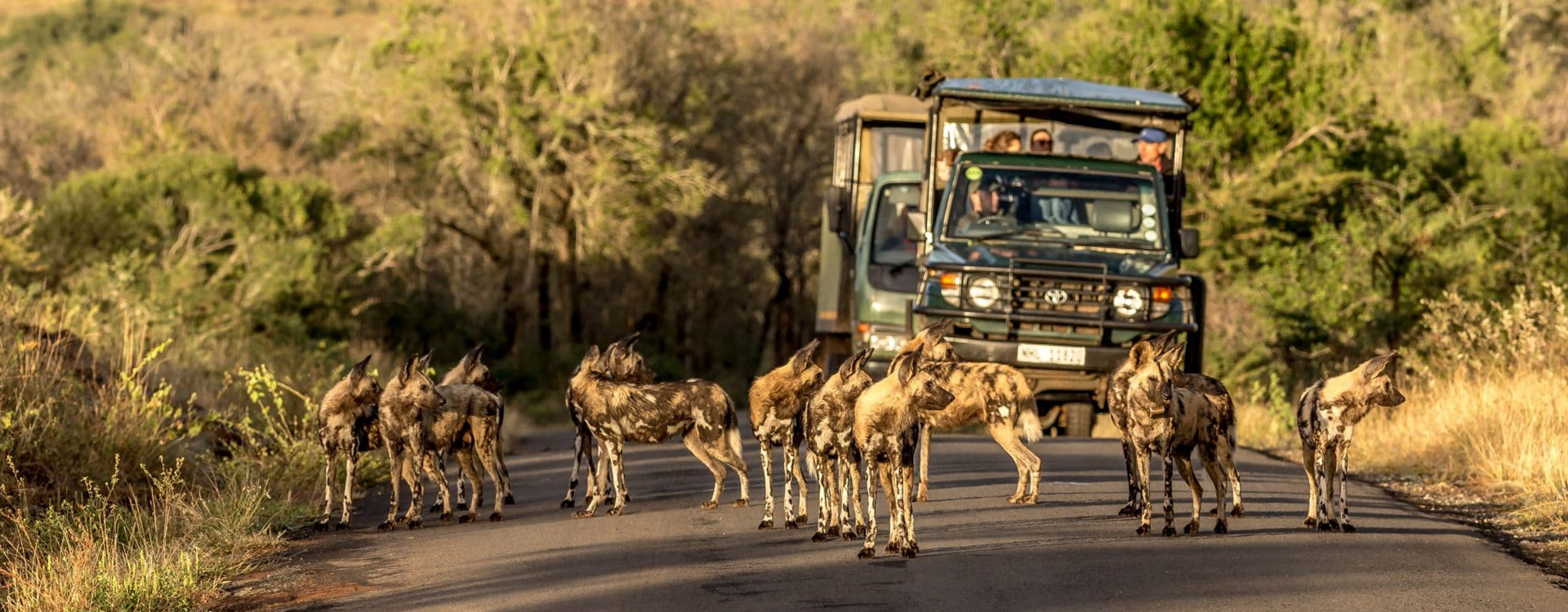 Nyerere Safari